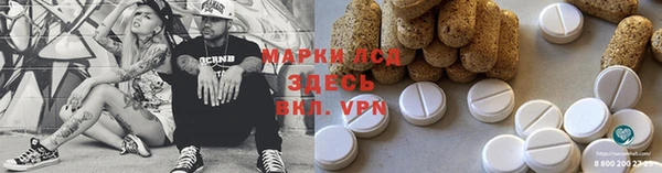 хмурый Белокуриха