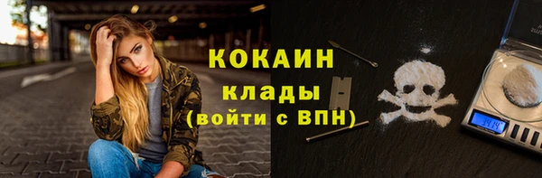 хмурый Белокуриха
