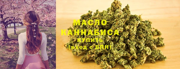 хмурый Белокуриха